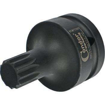 Torx bit fej 3/4" XZN18X60mm