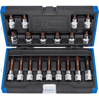 Torx klt  nagy teljesítményű 1/2" 19dbos T20-70
