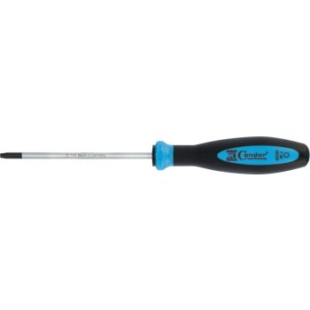 Torx csavarhúzó T20x100