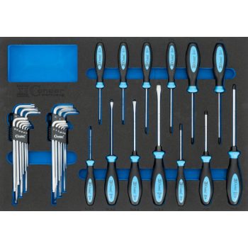 Csavarhúzó +L kulcsok szivacsbetétben 31db